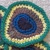Peacock coasters