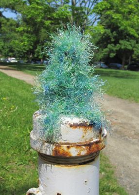 fuzzy guy on a post