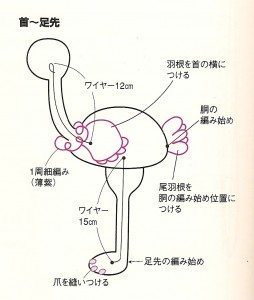ostrich diagram
