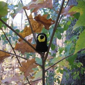 black sluggo in tree