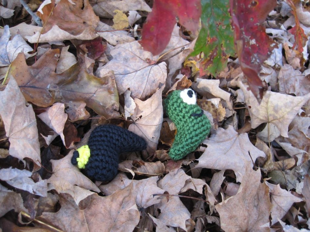 one-eyed sluggos in the leaves