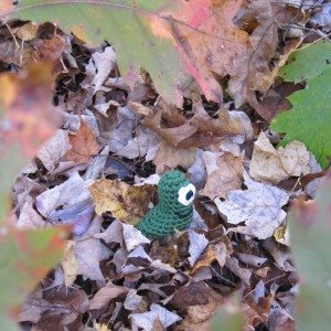 green sluggo in leaves