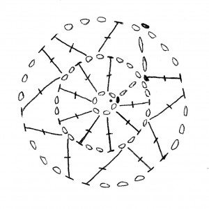 cupholder diagram rounds 1-3