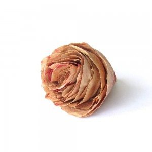 Coffee filter rose