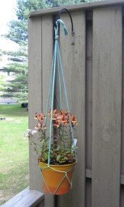 quick and simple knotted plant hanger