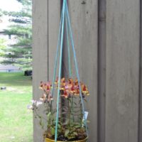 quick and simple knotted plant hanger