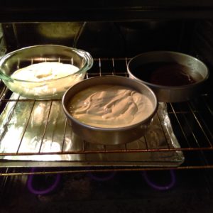 "dry run" cake in oven