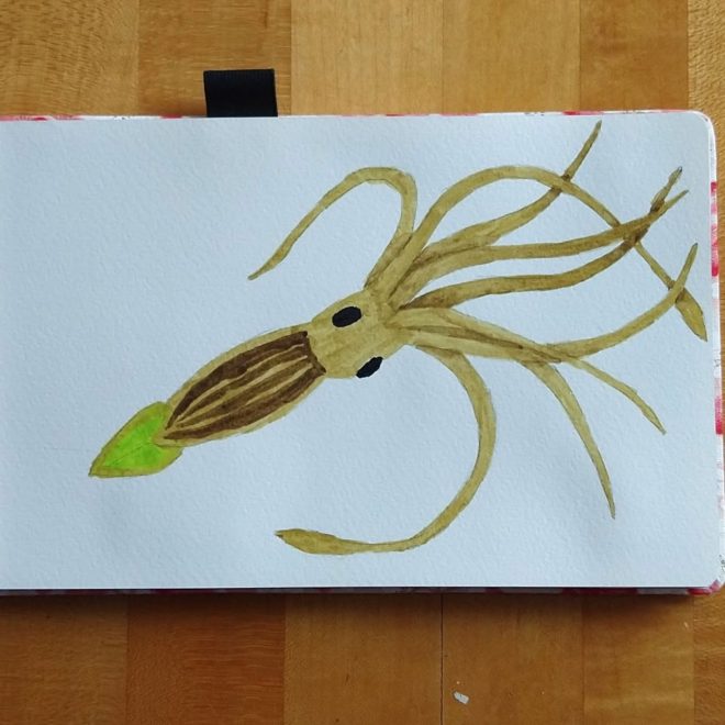 Giant squid colored like firefly, with yellow-green glow on fin